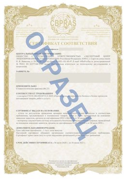 Образец Сертификат СТО 01.064.00220722.2-2020 Бирск Сертификат СТО 01.064.00220722.2-2020 